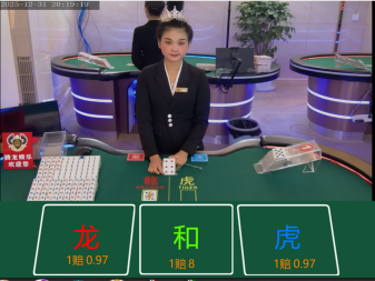 龙渊之境